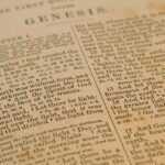 「神の息」に生かされる（創世記2章7節）